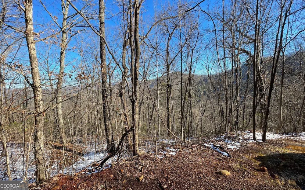 LOT 34 Overlook At Young Harris Young Harris, GA 30582