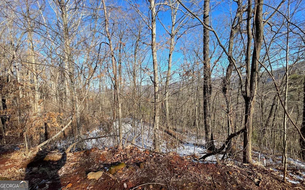 LOT 34 Overlook At Young Harris Young Harris, GA 30582