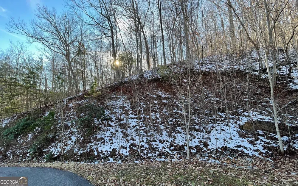 LOT 34 Overlook At Young Harris Young Harris, GA 30582