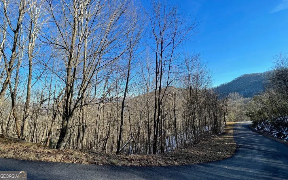 LOT 34 Overlook At Young Harris Young Harris, GA 30582
