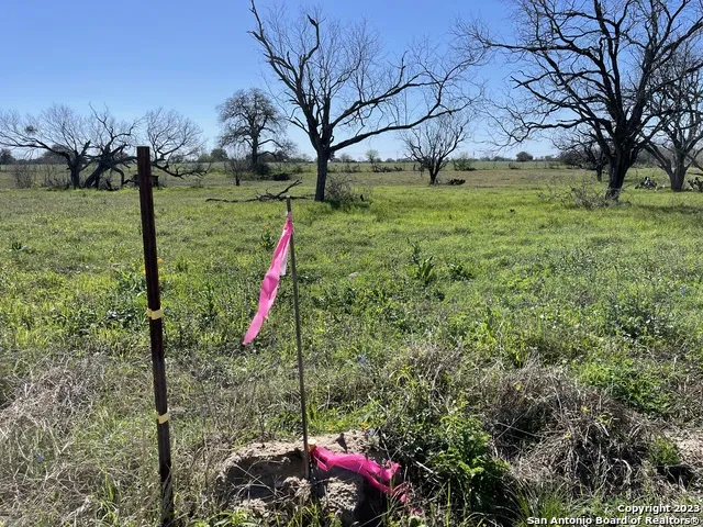 8765 US Highway 87 W La Vernia, TX 78121