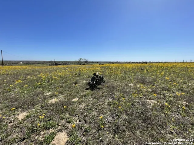 8765 US Highway 87 W La Vernia, TX 78121