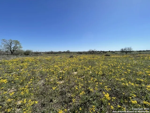 8765 US Highway 87 W La Vernia, TX 78121