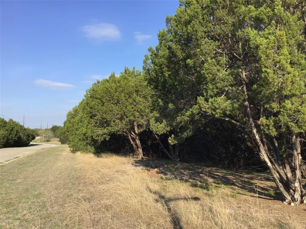 29084 Cedar Hill Dr & Timberwood Drive Whitney, TX 76692