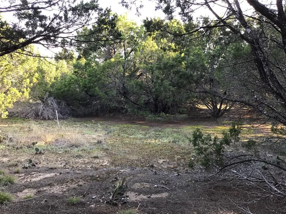 29084 Cedar Hill Dr & Timberwood Drive Whitney, TX 76692