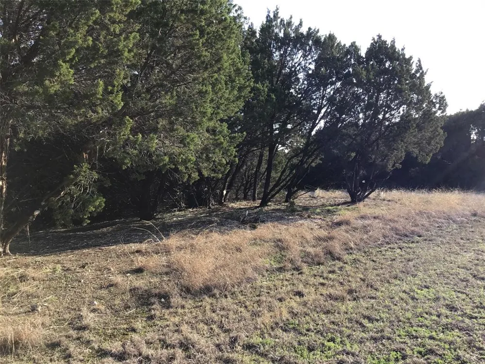 29084 Cedar Hill Dr & Timberwood Drive Whitney, TX 76692
