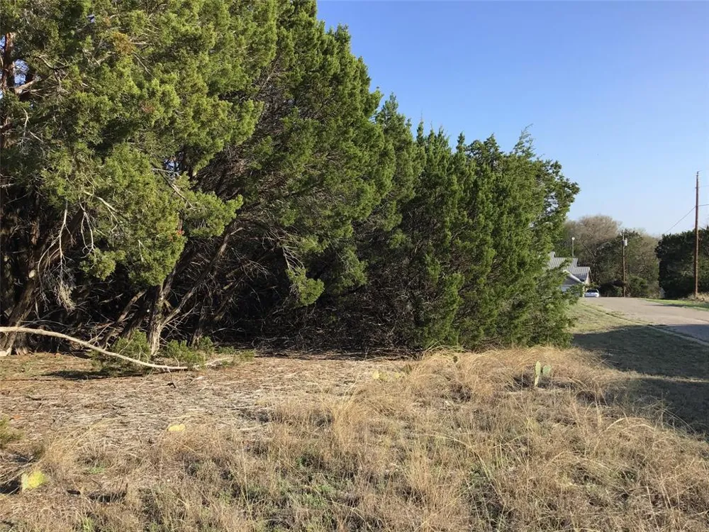 29084 Cedar Hill Dr & Timberwood Drive Whitney, TX 76692