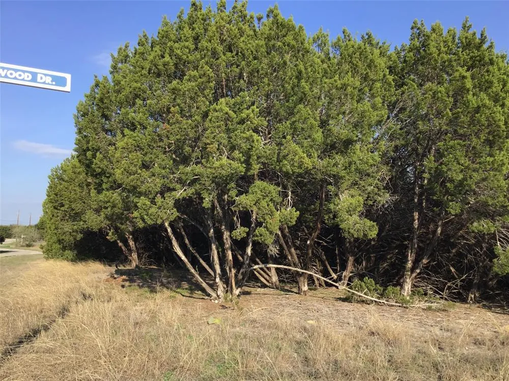 29084 Cedar Hill Dr & Timberwood Drive Whitney, TX 76692