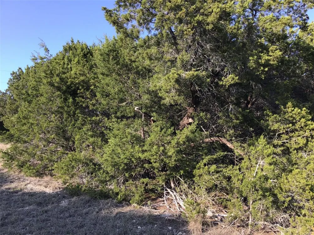 29084 Cedar Hill Dr & Timberwood Drive Whitney, TX 76692