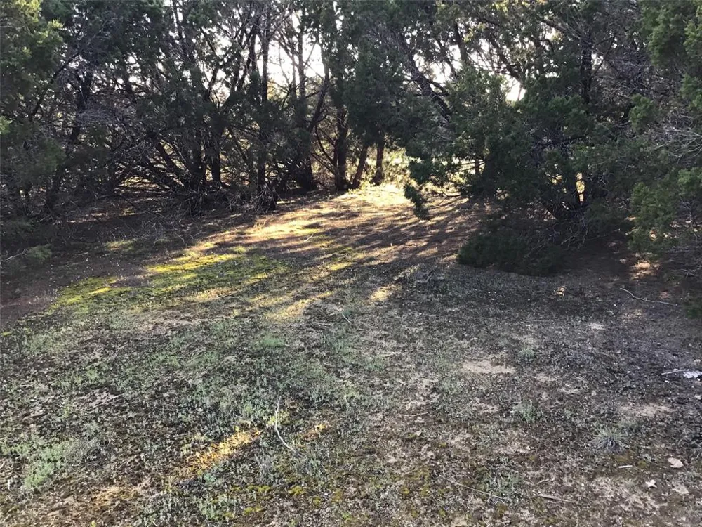 29084 Cedar Hill Dr & Timberwood Drive Whitney, TX 76692
