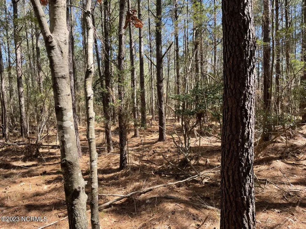 330, 211 Garbacon Drive Beaufort, NC 28516