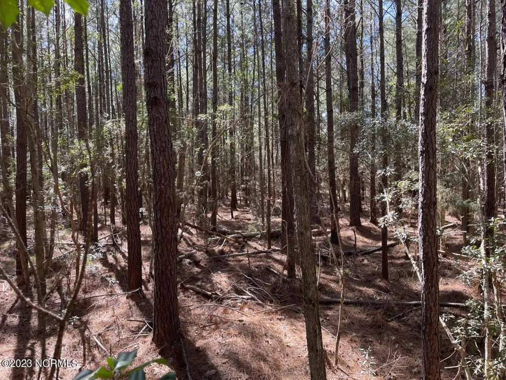 330, 211 Garbacon Drive Beaufort, NC 28516