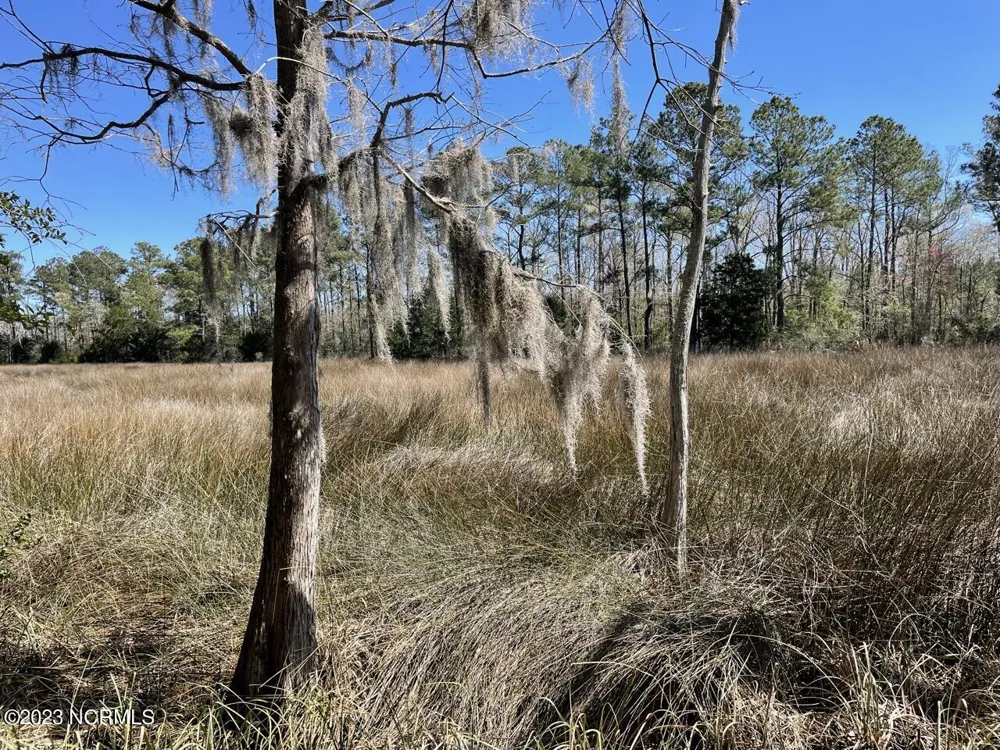 330, 211 Garbacon Drive Beaufort, NC 28516
