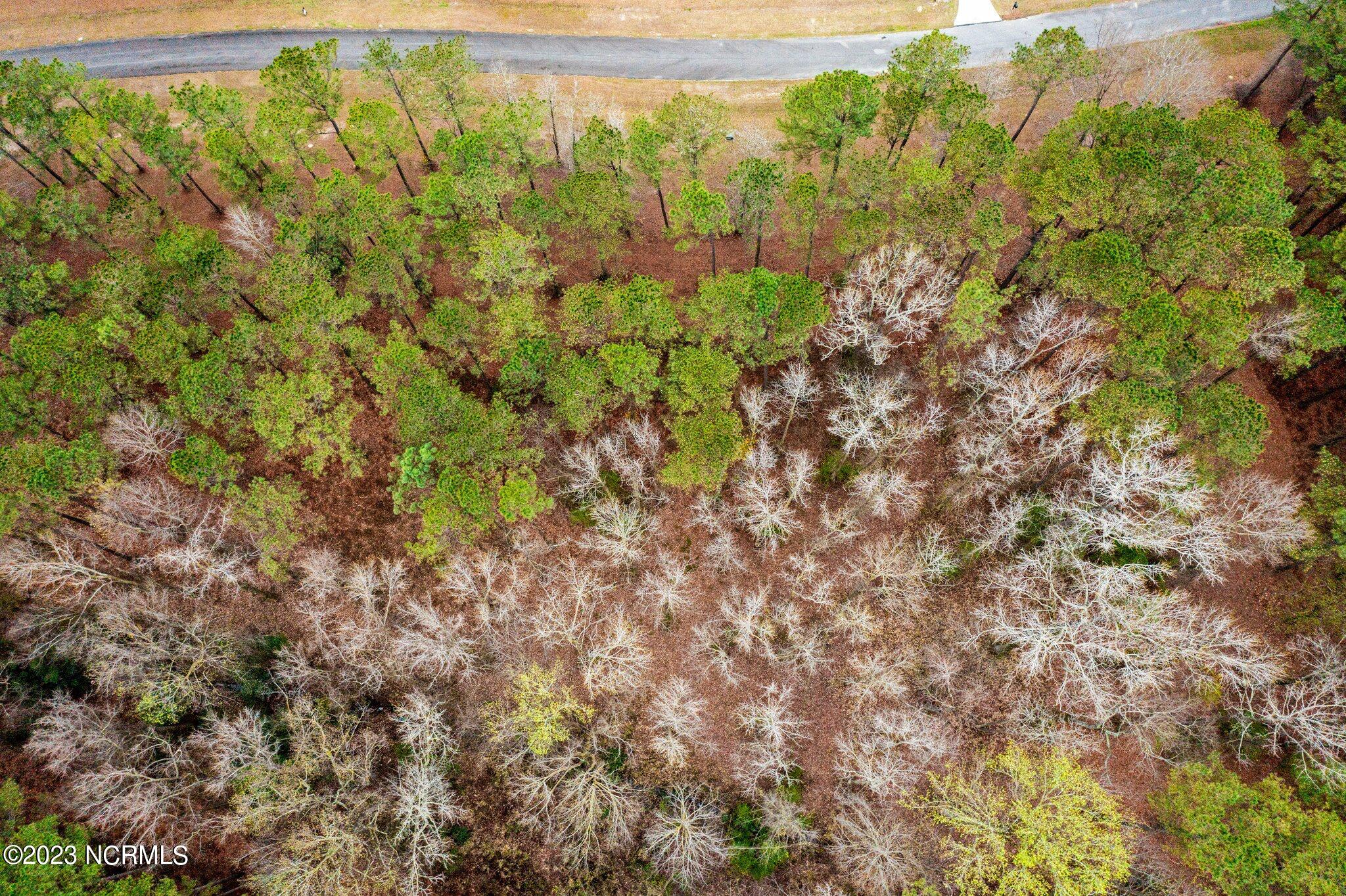 405 Anna Lane Snow Hill, NC 28580