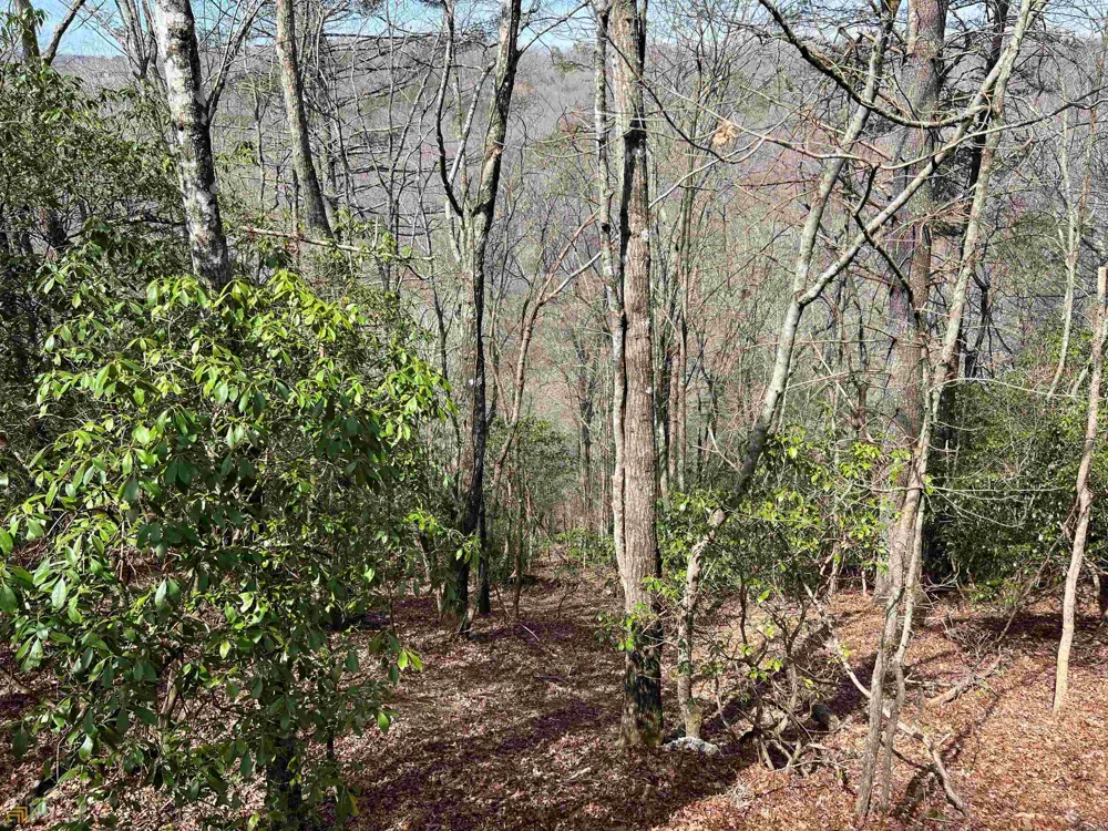 0 Cross Creek RD Mineral Bluff, GA 30559