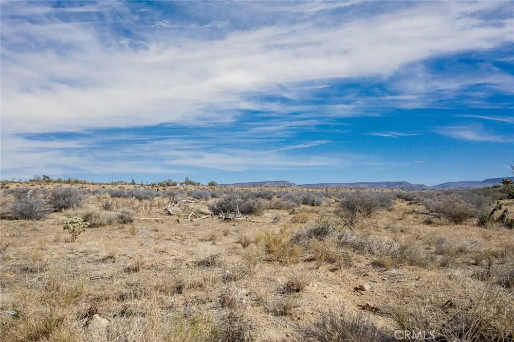 50600 Burns Canyon Road Pioneertown, CA 92268