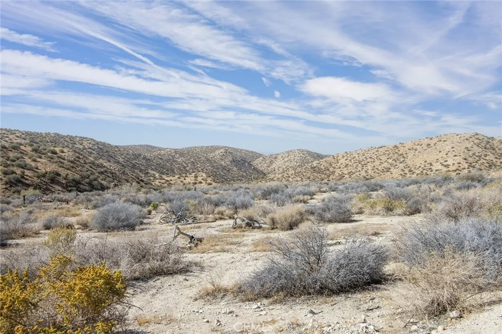 50600 Burns Canyon Road Pioneertown, CA 92268