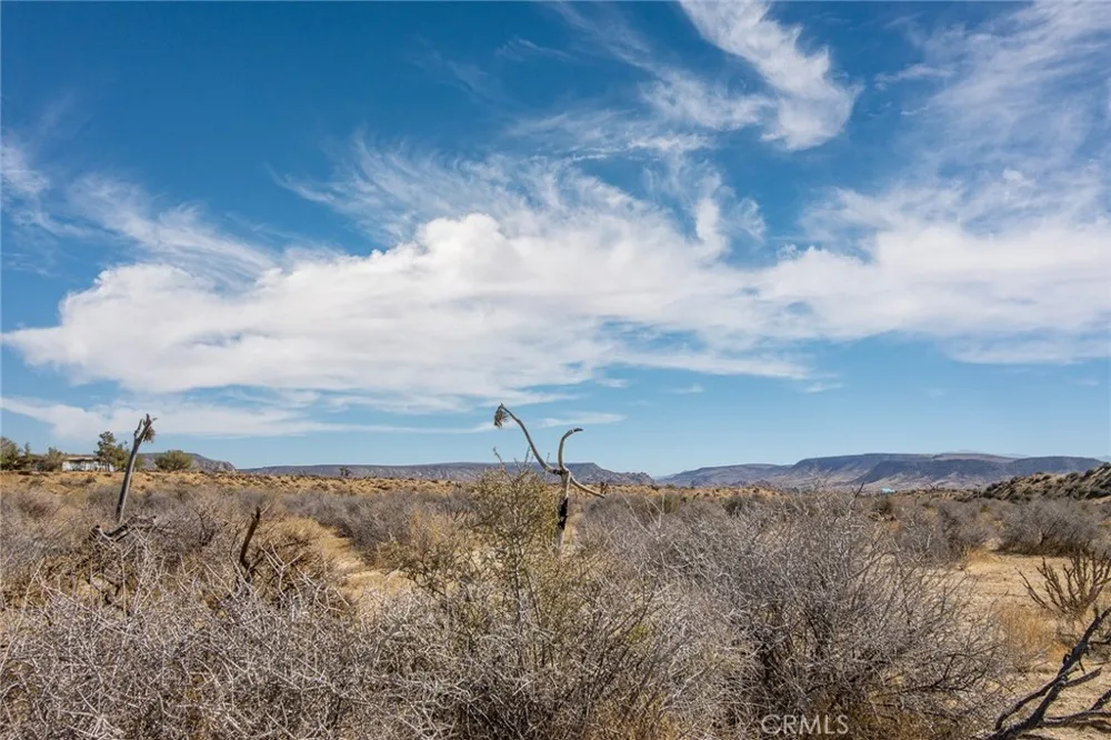 50600 Burns Canyon Road Pioneertown, CA 92268