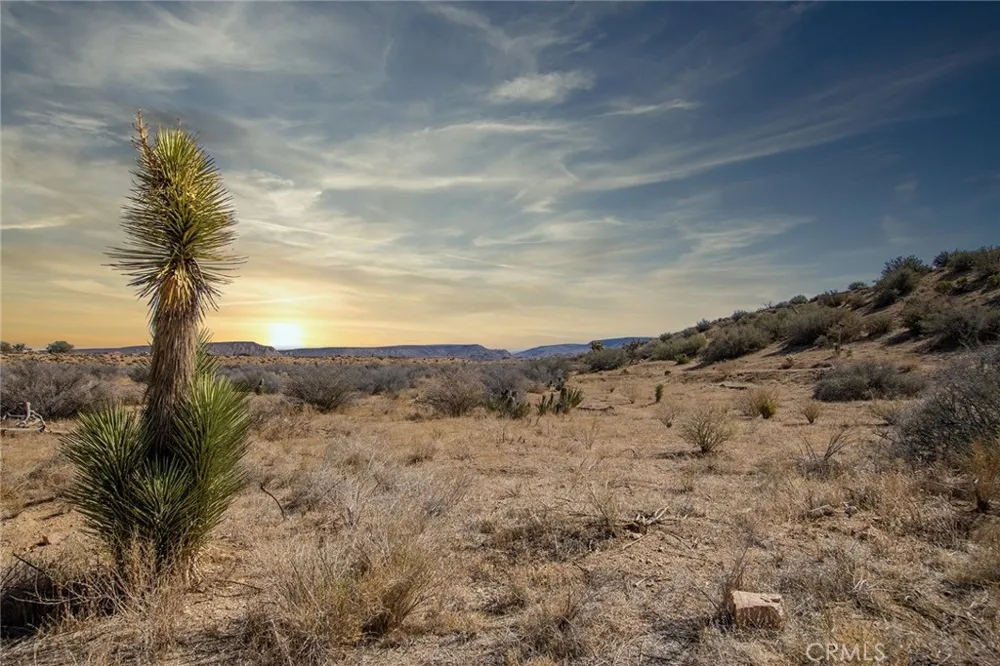 50600 Burns Canyon Road Pioneertown, CA 92268