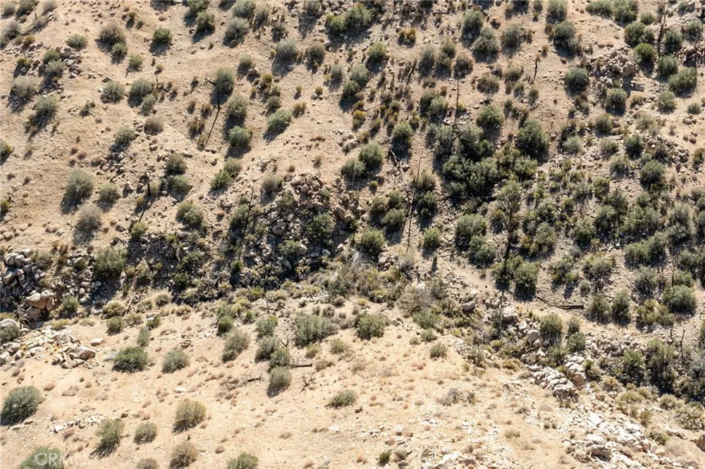 50600 Burns Canyon Road Pioneertown, CA 92268