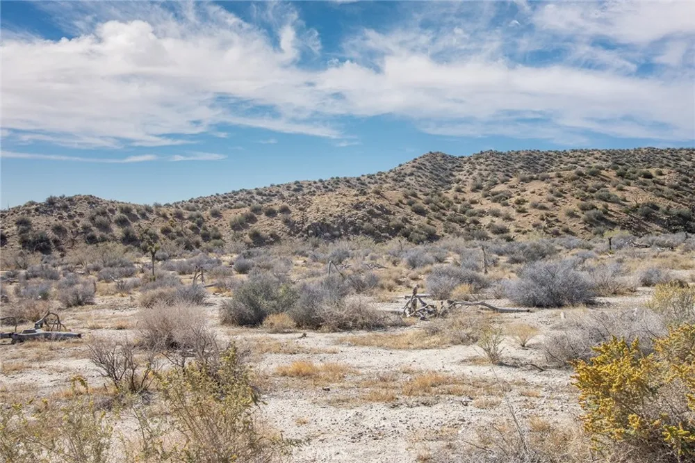 50600 Burns Canyon Road Pioneertown, CA 92268