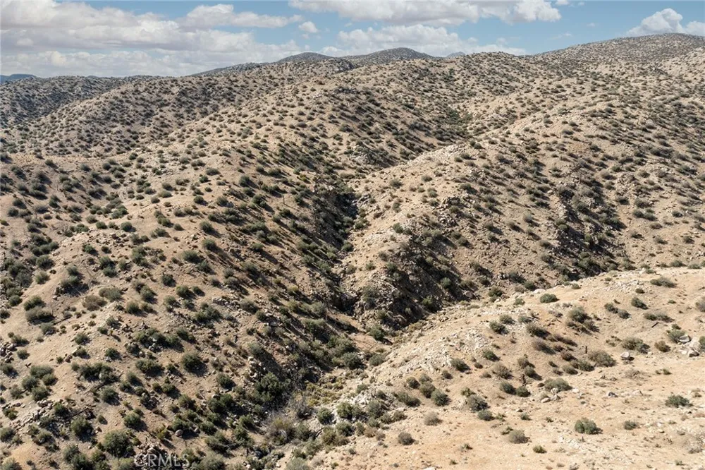 50600 Burns Canyon Road Pioneertown, CA 92268