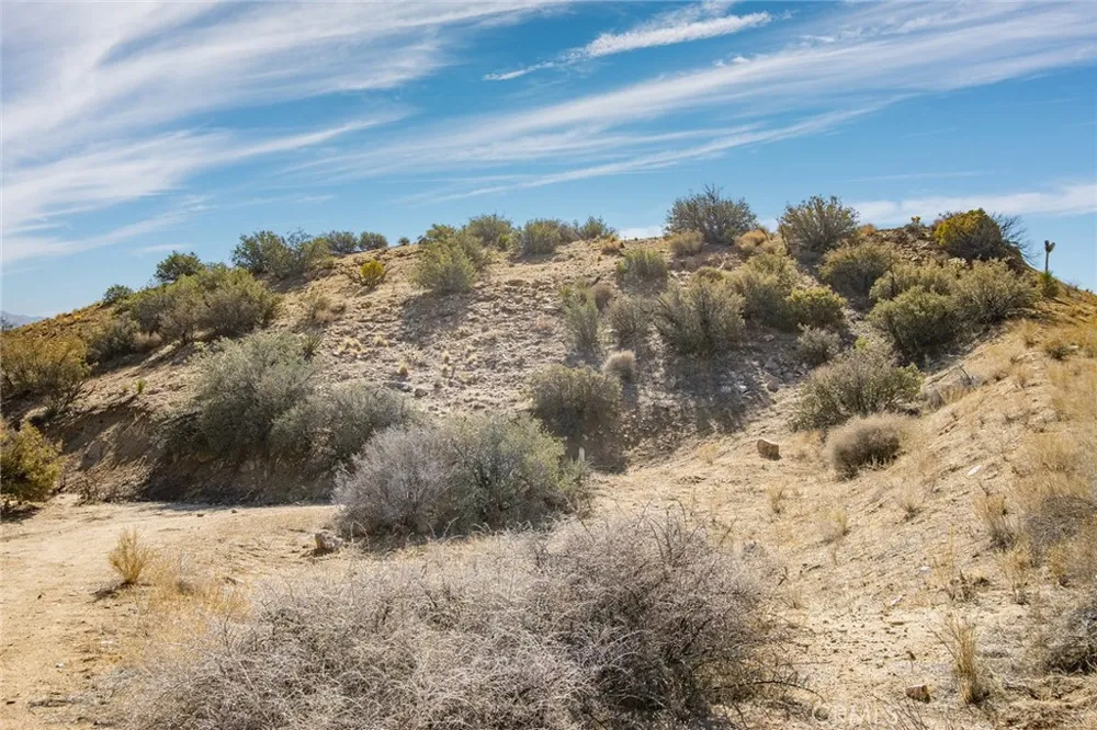 50600 Burns Canyon Road Pioneertown, CA 92268