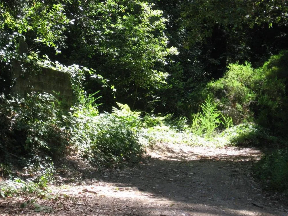 Acorn Drive Boulder Creek, CA 95006