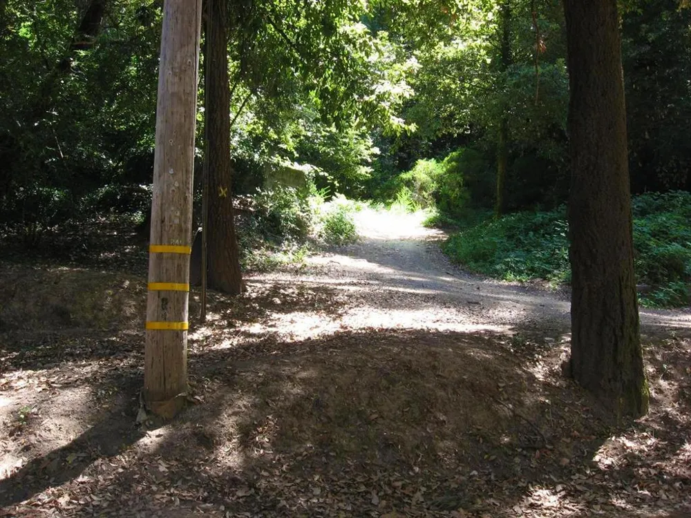 Acorn Drive Boulder Creek, CA 95006