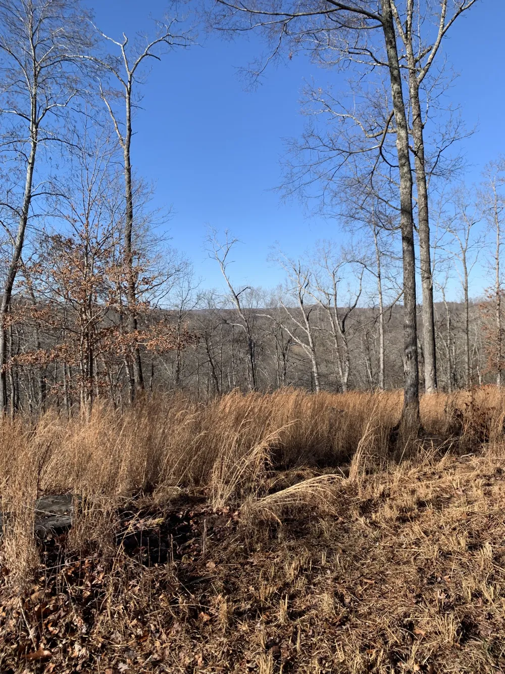 0 Hester Beasley Rd Nashville, TN 37221
