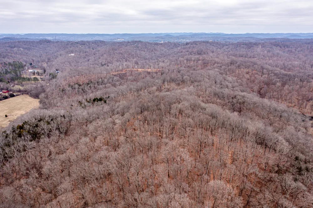 0 Hester Beasley Rd Nashville, TN 37221