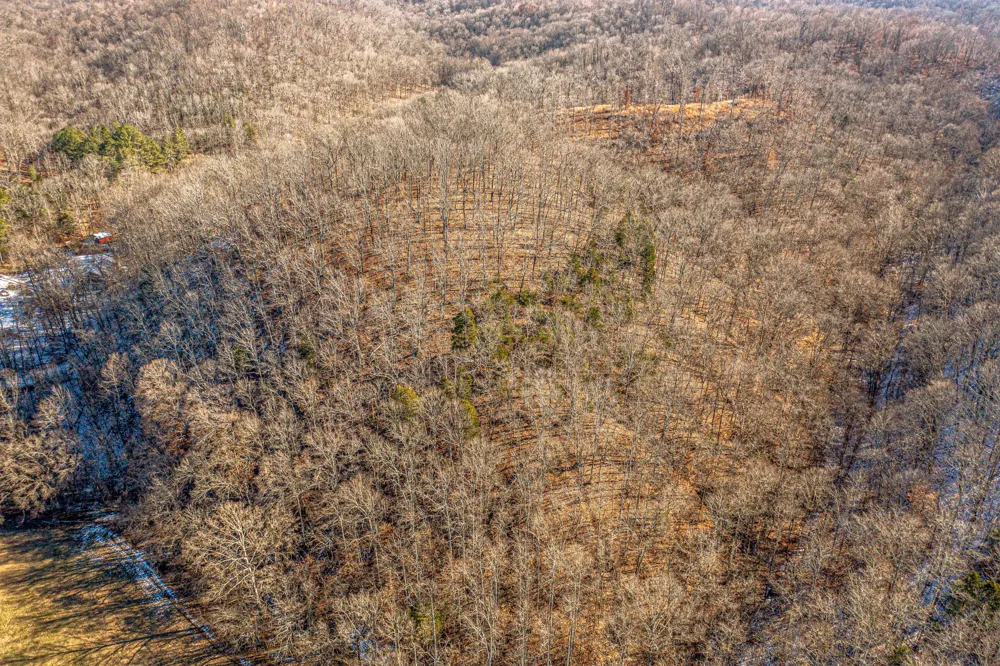 0 Hester Beasley Rd Nashville, TN 37221