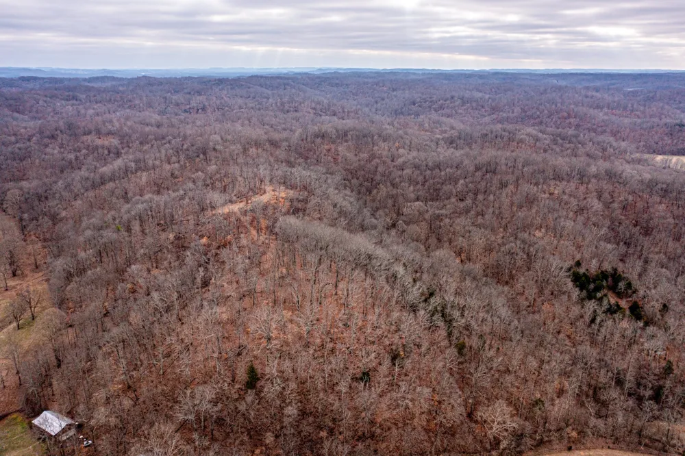0 Hester Beasley Rd Nashville, TN 37221