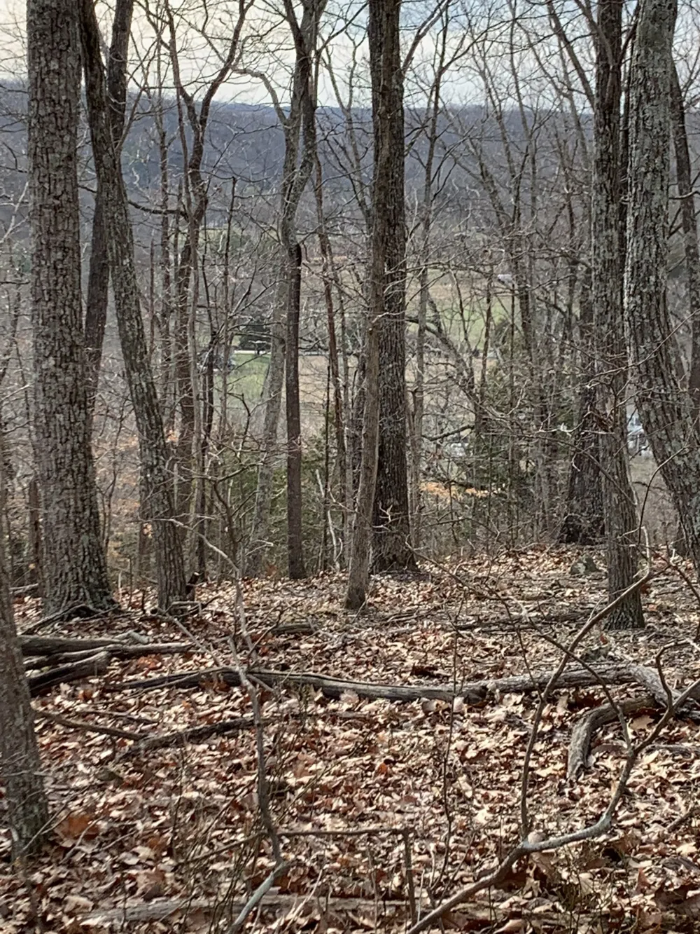 0 Hester Beasley Rd Nashville, TN 37221