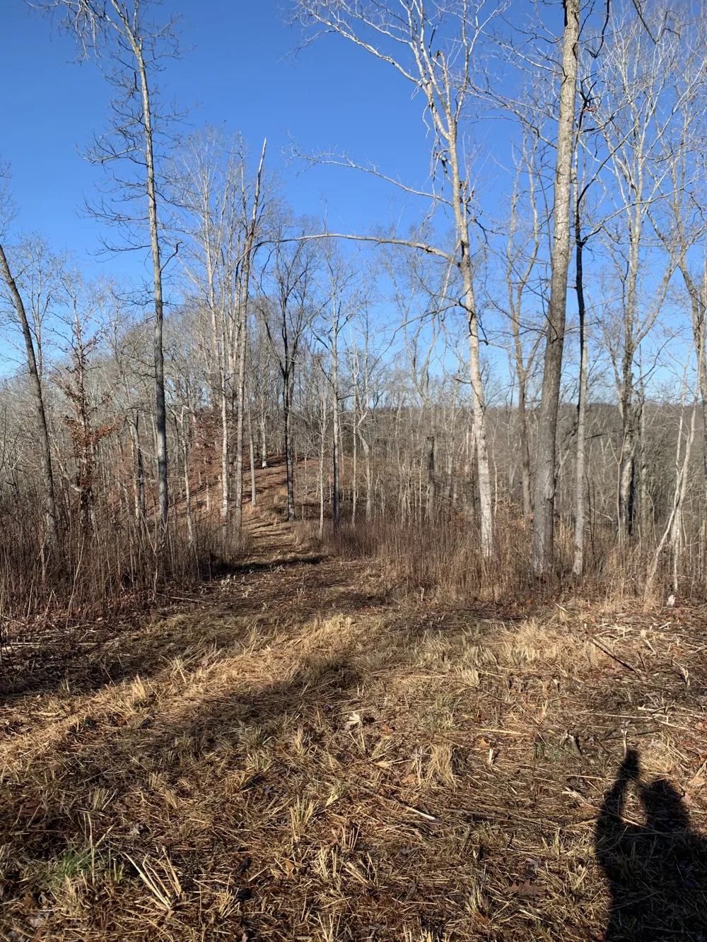 0 Hester Beasley Rd Nashville, TN 37221