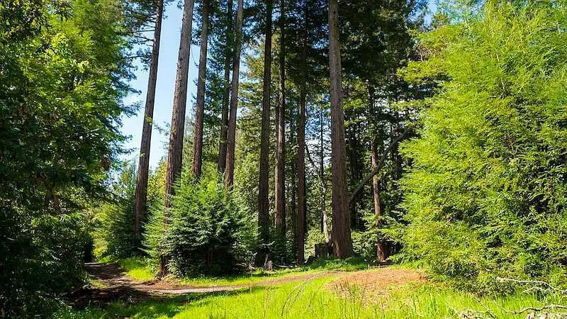 6121 Fern Flat Road Aptos, CA 95003