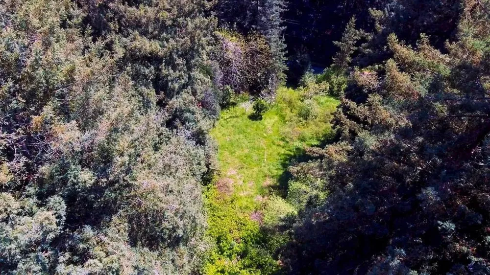 6121 Fern Flat Road Aptos, CA 95003