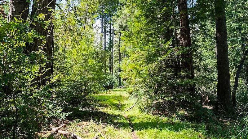 6121 Fern Flat Road Aptos, CA 95003