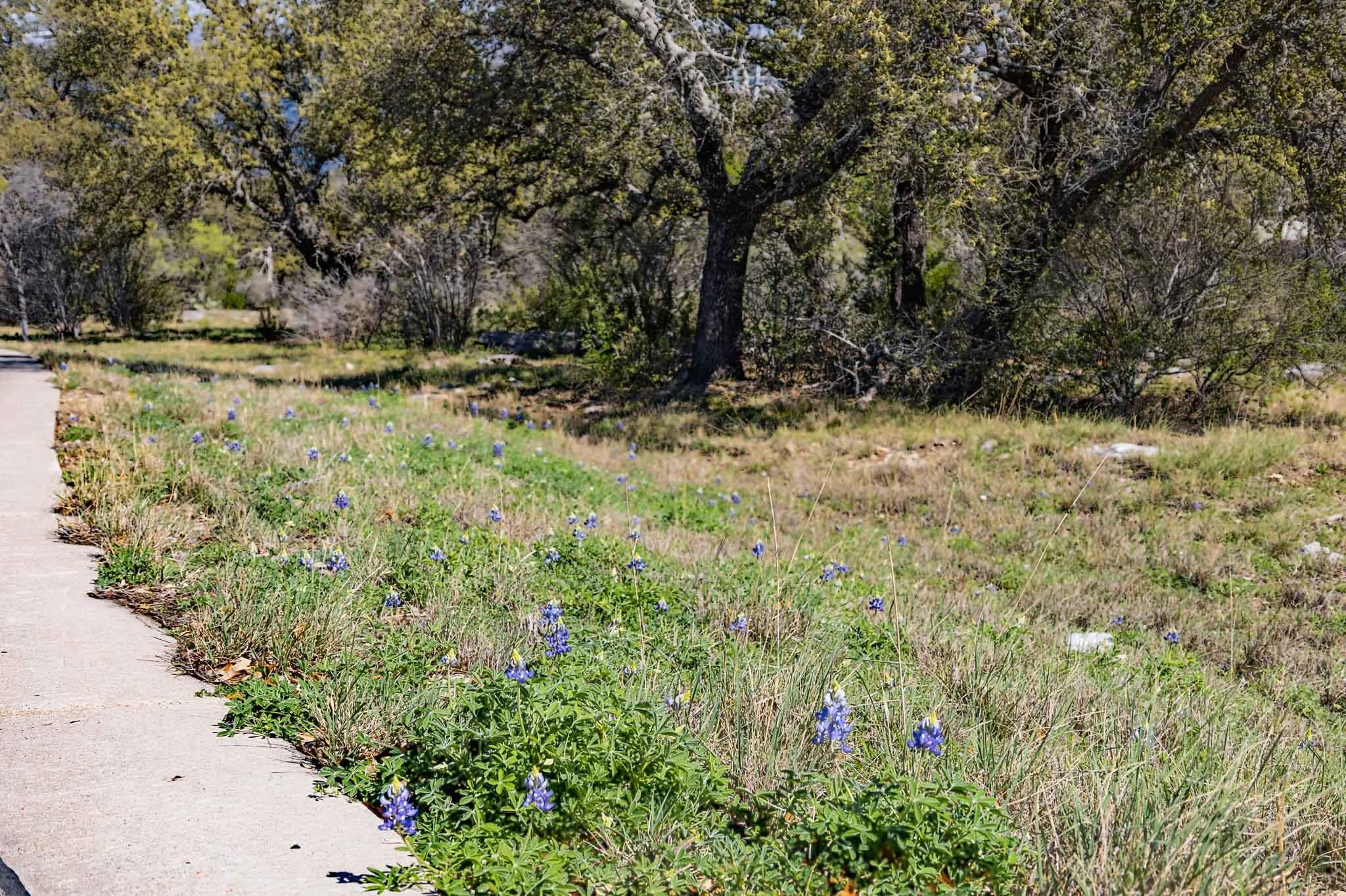 N7003 W Highland Boulevard