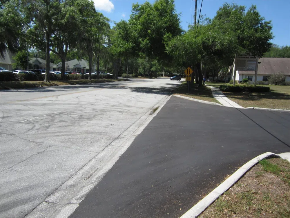 209 CRYSTAL GROVE BOULEVARD Lutz, FL 33548