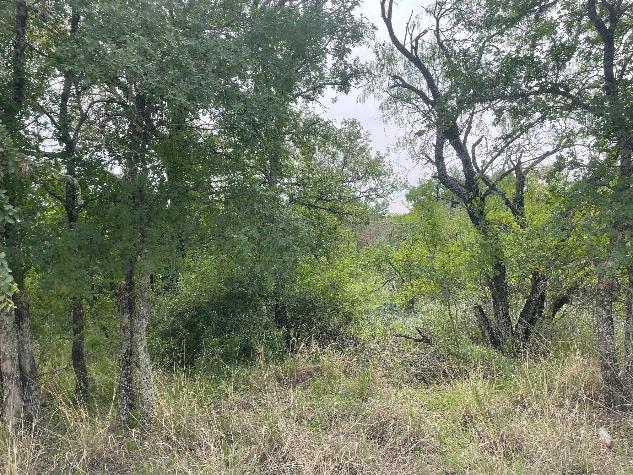 Lots 175 & 176 Hill Wood