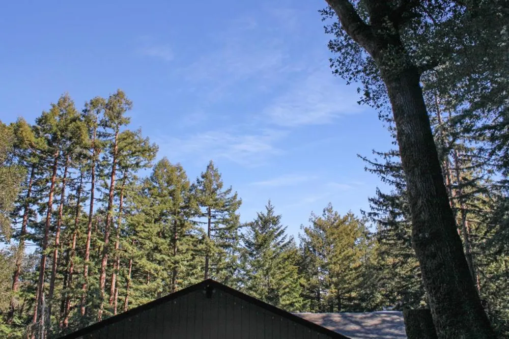 1940 Waterman Gap Loop Boulder Creek, CA 95006