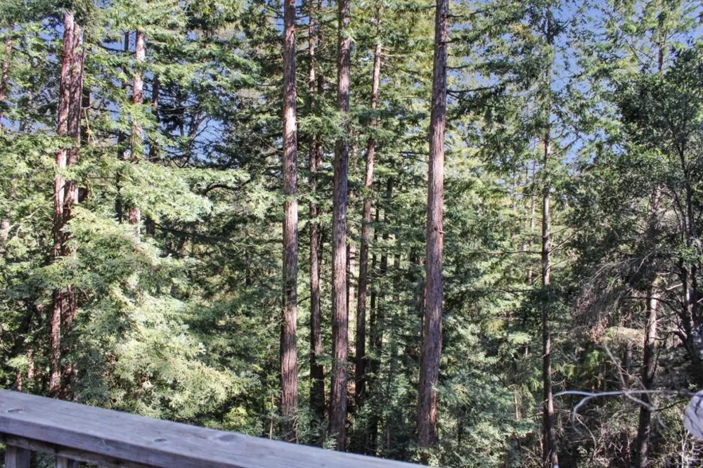 1940 Waterman Gap Loop Boulder Creek, CA 95006