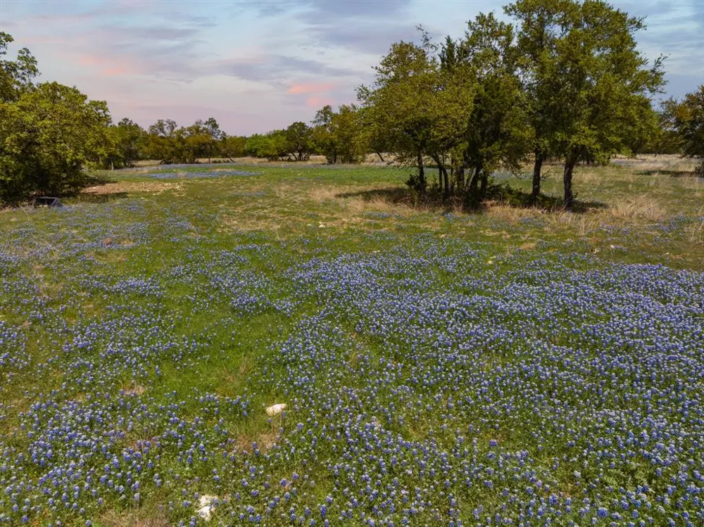 County Road 2140 Iredell, TX 76649