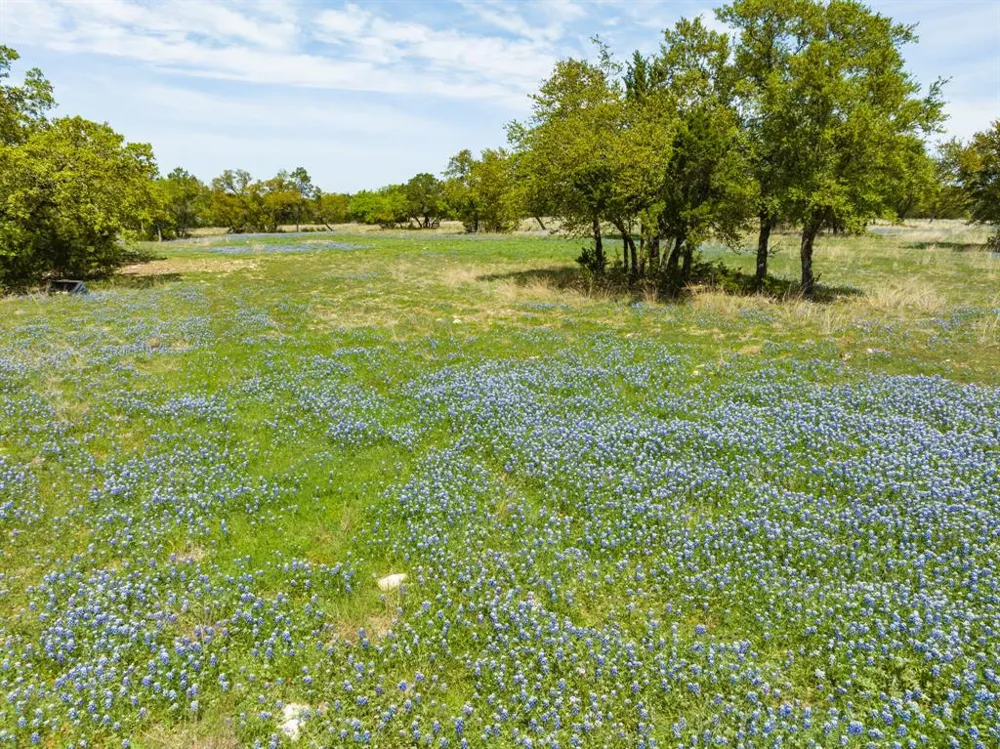 County Road 2140 Iredell, TX 76649