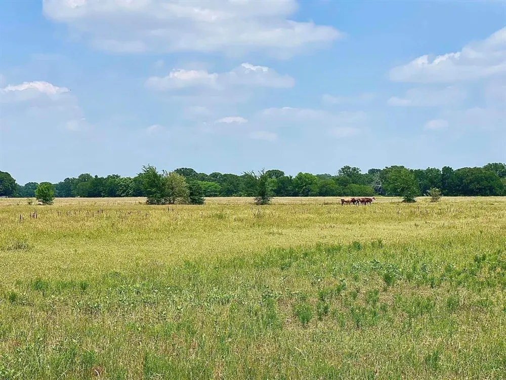 12053 S HWY 34 Scurry, TX 75158
