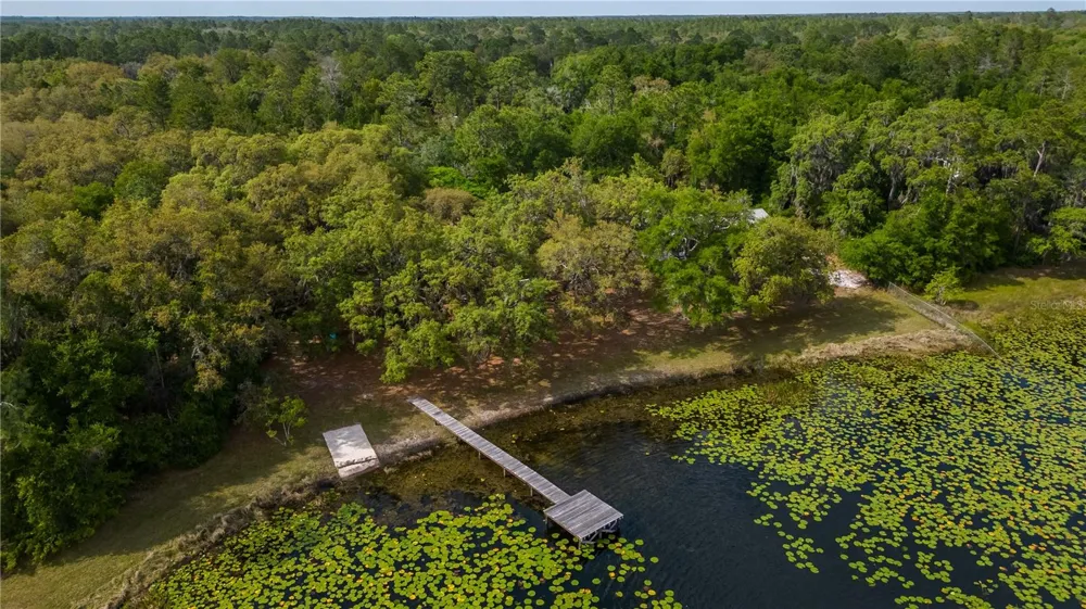 22649, 22645 and TBD NE 105TH AVENUE ROAD Fort Mc Coy, FL 32134