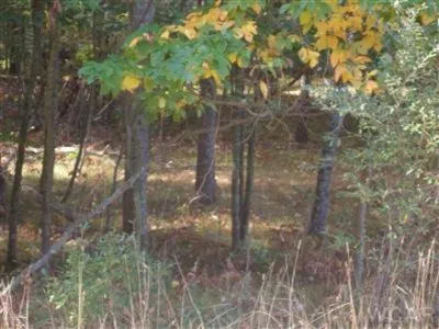 10412 Mountain View Trail #378 Canadian Lakes, MI 49346