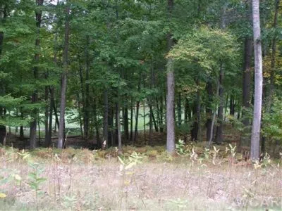9615 Aberdeen Court #29 Canadian Lakes, MI 49346
