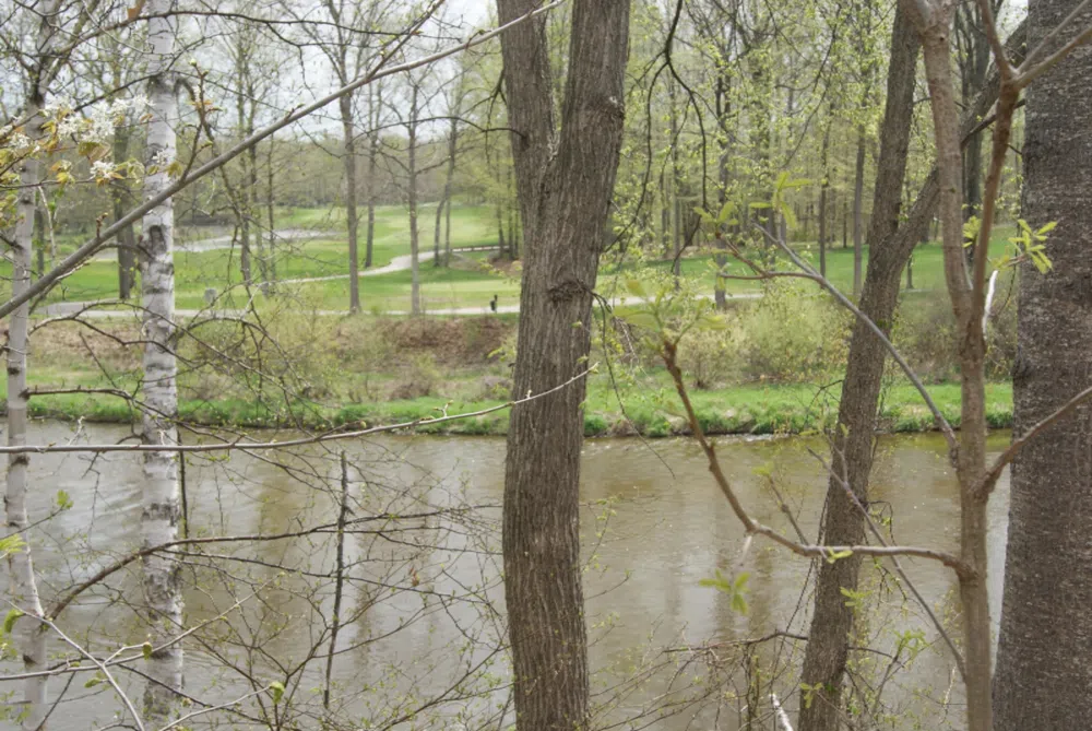 3 E River Rd Mount Pleasant, MI 48858